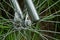 Part of a bicycle with a gray iron  fork and spokes on a wheel