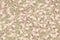 Part of brown Guyana 1000 dollars Banknote pattern