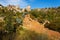 Part of the challenging 4 x 4 trail near Worcester, South Africa, showing the beauty of the area