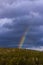 Part of colored rainbow on dark thunder clouds with green forest mountain background. vertical view.