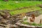 Part of the excavated Manor House owned by Samuel Oldknow, builder of Mellor Mill in Marple, Cheshire, UK