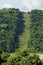 Part of a forest cleared for utility lines