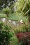 Part of the garden with the pond, lawn and plentiful greens of different types.