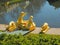 A part of Grand cascade ensemble. Golden sculpture of a mermaid sitting close to water in Peterhof