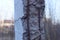 Part of a gray concrete broken pillar with rusty brown reinforcement rods
