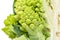 Part Green Fresh Romanesque Cauliflower