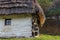 Part of log wall and thatched roof of ancient farmhouse