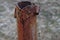 Part of a long rusty brown pipe on a street pillar