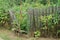 Part of an old gray wooden fence with broken boards