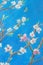 Part of painting pastel on paper `Blooming branches against the blue sky. Spring`.