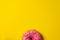 part of a pink donut with pink sprinkles below on yellow background.Tasty pink doughnut
