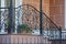 Part of the porch and the threshold with steps with an iron fence of twigs and wrought pattern