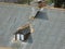 Part of the roof of the house with an exit and chimneys