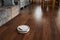 Part of spacious kitchen or living room with robot vacuum cleaner on the floor