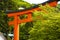 Part of the torii in Hakone Shrine. The Hakone Shrine is a Japanese Shinto shrine on the shores of Lake Ashi in the town of Hakone