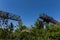 Part two rusty gantry cranes on the background of blue sky.