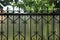 Part of the wall of a fence made of sharp black iron rods in a forged pattern