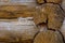 Part of the wall of the national house from round pine logs close-up. Photo of architectural objects from natural