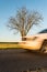 Part of the white car in motion. An asphalted rural road with a tree on the roadside.