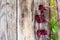 Parthenocissus on Wooden Rustik Background