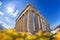 Parthenon temple against sunrise on the Athenian Acropolis, Greece