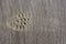 Partial imprint of the sole of a shoe in the wet brown sand of the beach