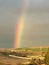 Partial Rainbow with green grass and young vineyard - Paso Robles, California