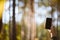 Partial shot of woman holding smartphone in blurred forest