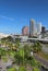 Partial skyline of Tampa, Florida vertical