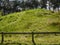 Partial view of a grass-covered hill of a tomb of the Neolithic megalithic culture, forest in the background, a small wooden fence