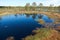 Partial view of a small lake in the middle of the Viru Raba bog