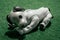 Partially blurred dog-like white robot, lying on green carpet