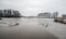 Partially frozen lake with resting mallards