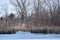 Partially ice covered pond with several Canadian Geese