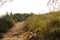 PARTIALLY SHADED PATH ON TOP OF A GRASSY HILL