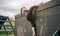 Participant in obstacle course climbing wall