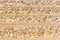 Particle board cross section texture