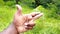 particular view finger And see the standing position section in the hand direction with greenery background