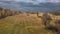 Partly abandoned meadows under cloudy sky