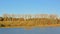 Partly bare autumn trees along a lake on a sunny day with clear blue sky