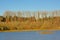 Partly bare autumn trees along a pool on a sunny day with clear blue sky