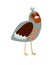 Partridge cartoon bird icon
