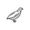 Partridge quail bird isolated rural poultry icon