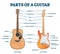 Parts of acoustic and electric guitar labeled structure vector illustration