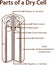 Parts of a Dry cell battery. stock illustration Battery, Inside Of, Diagram, Dry, Cross Section