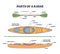 Parts of kayak boat and mechanical sea paddle structure outline diagram