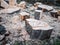 Parts of a sawn tree trunk, unsorted with a lot of sawdust