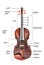 Parts of a violin