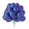 Party balloon bunch blue purple colorful. Helium balloons