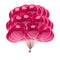 Party balloons bunch pink birthday decoration shiny translucent
